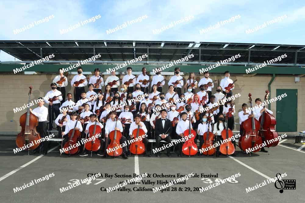Musical Images